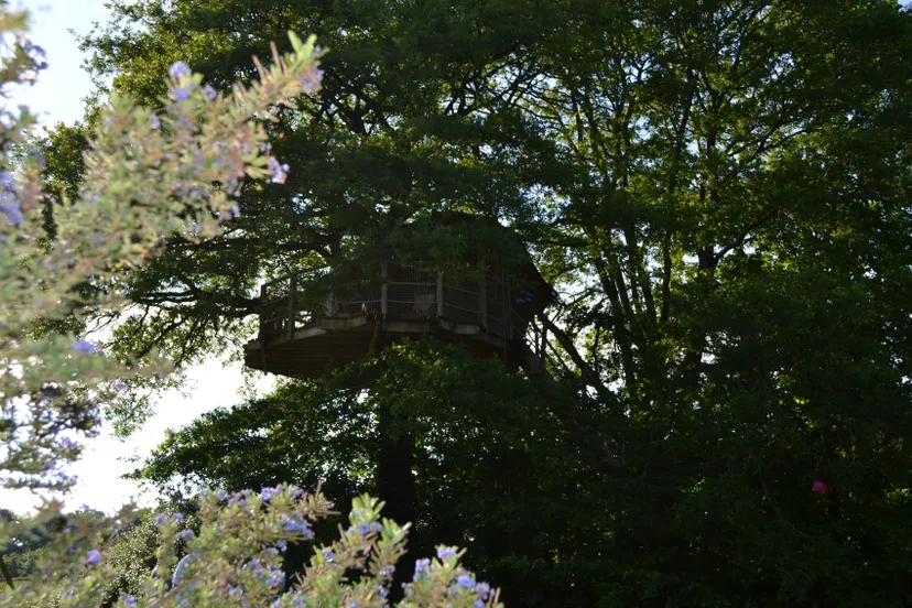 Cabane perchée pour 3 personnes au bord d'un étang de 2ha pour pêche et détente