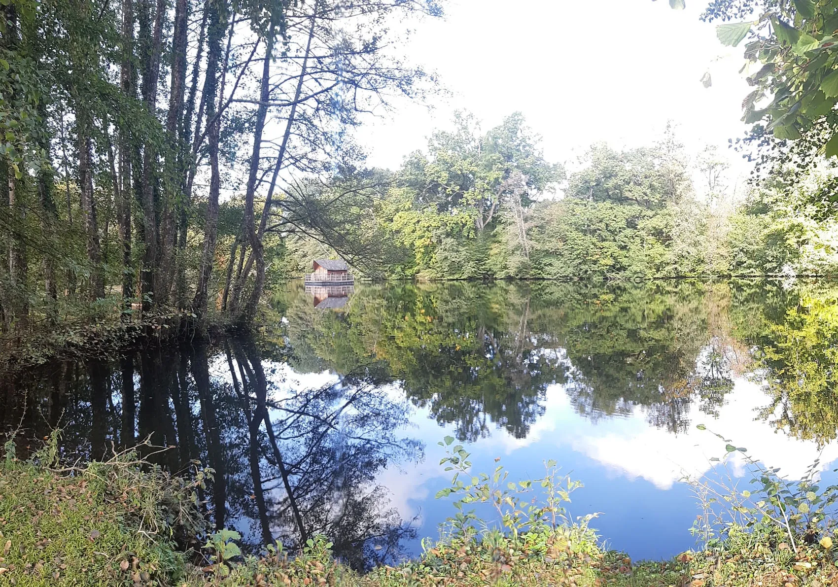 Cabane perchée pour 3 personnes au bord d'un étang de 2ha pour pêche et détente