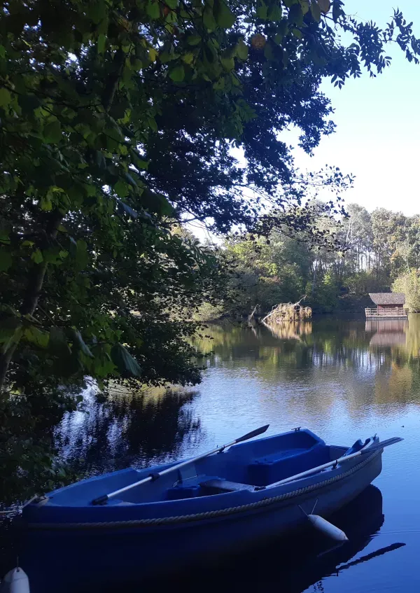 Cabane flottante sur étang de 2 ha en Mayenne – Jusqu’à 3 personnes