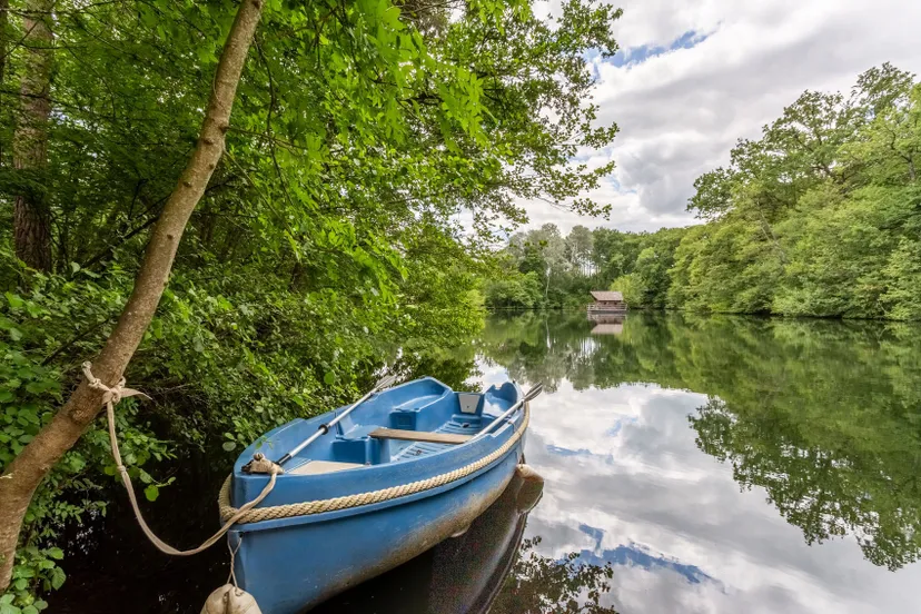Cabane flottante sur étang de 2 ha en Mayenne – Jusqu’à 3 personnes
