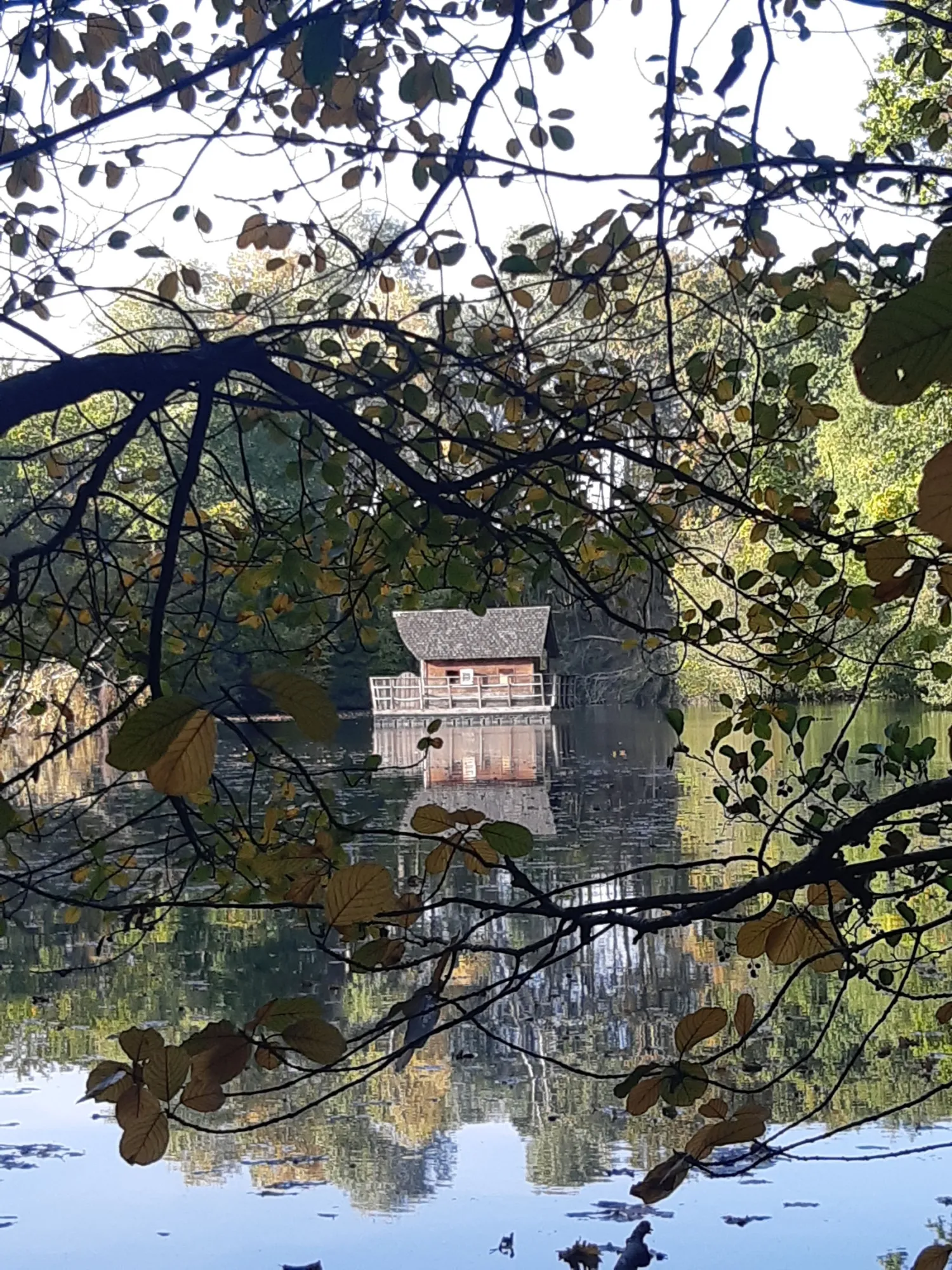 Cabane flottante sur étang de 2 ha en Mayenne – Jusqu’à 3 personnes