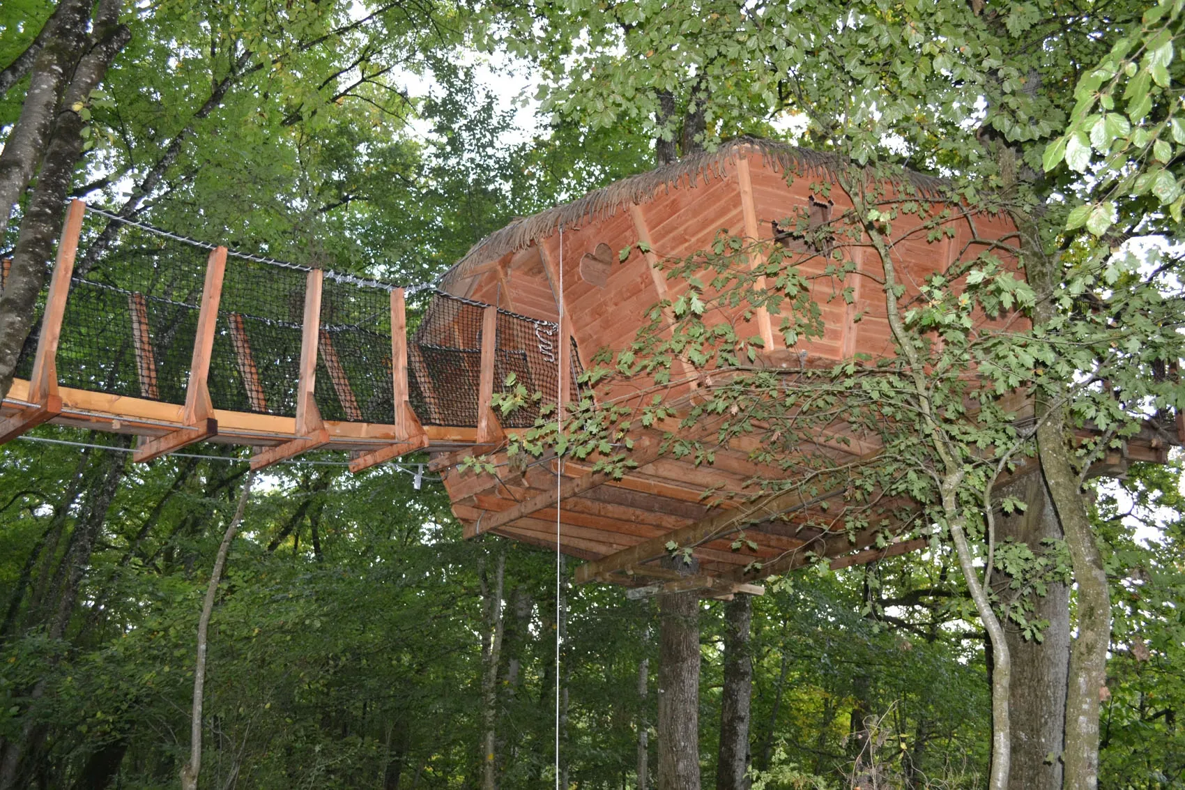 Séjour pêche et détente – Cabane perchée avec vue étang – 6 personnes