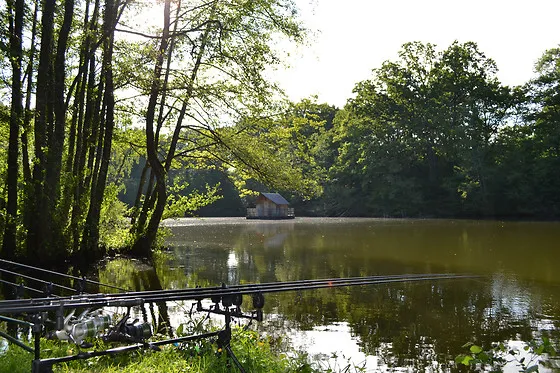 Séjour pêche et détente – Cabane perchée avec vue étang – 6 personnes