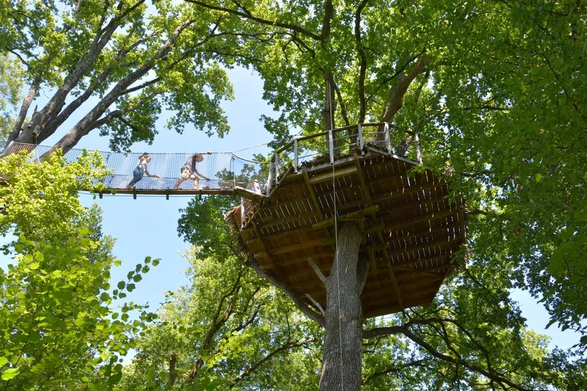 Cabane perchée à 15 m pour 3 personnes – Vue sur plan d’eau de 2ha – Mayenne