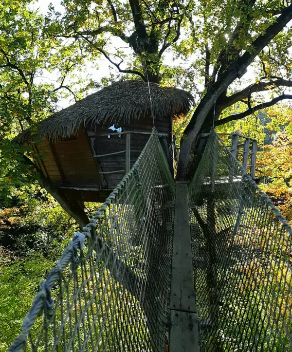 Cabane perchée à 15 m pour 3 personnes – Vue sur plan d’eau de 2ha – Mayenne