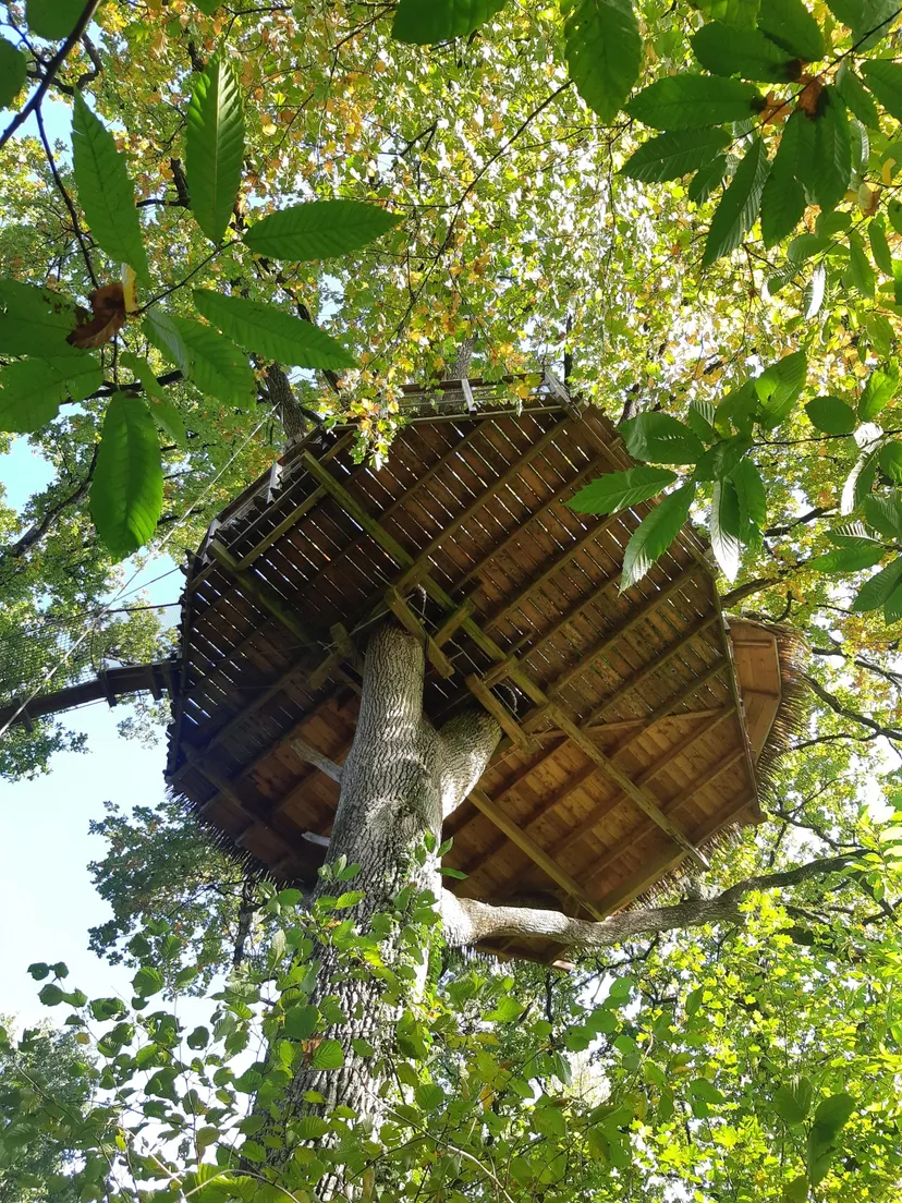 Cabane perchée à 15 m pour 3 personnes – Vue sur plan d’eau de 2ha – Mayenne