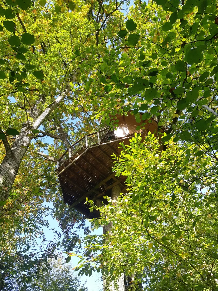 Cabane perchée à 15 m pour 3 personnes – Vue sur plan d’eau de 2ha – Mayenne