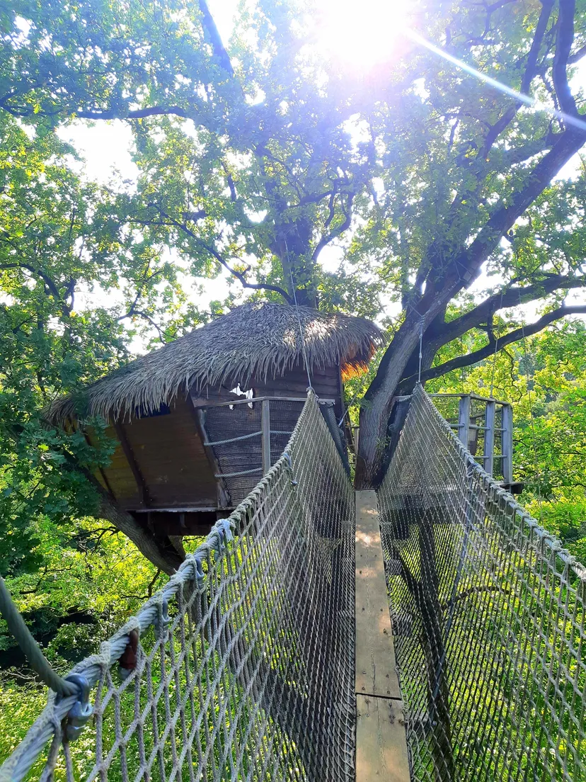 Cabane perchée à 15 m pour 3 personnes – Vue sur plan d’eau de 2ha – Mayenne