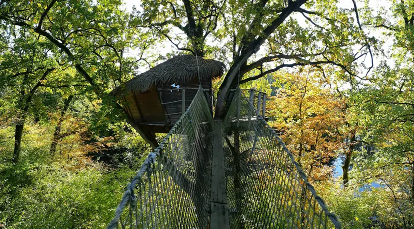 Cabane perchée à 15 m pour 3 personnes – Vue sur plan d’eau de 2ha – Mayenne
