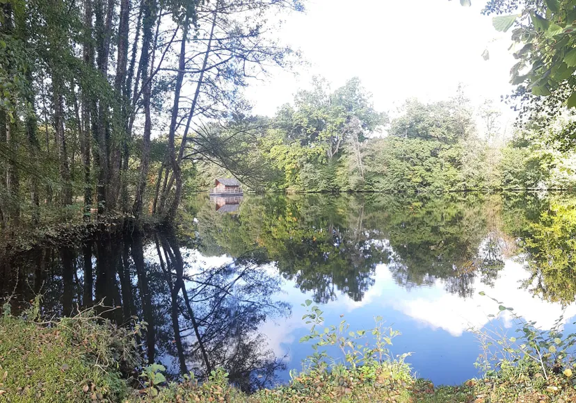 Gîte en Mayenne au bord de l’étang – Pêche et détente – 4 personnes