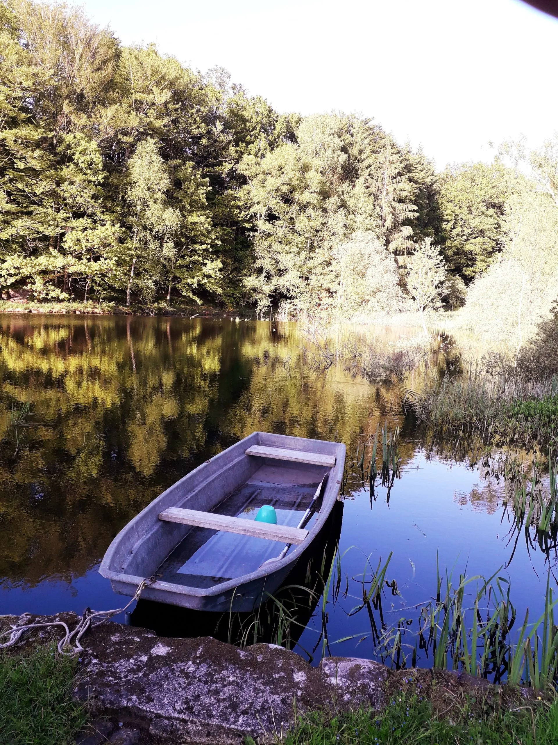 Canopée : Appartement niché au bord d’un étang tranquille