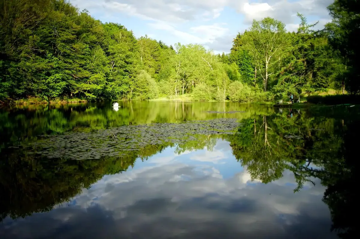 L’Echappée Belle : Appartement chaleureux avec étang d’1ha