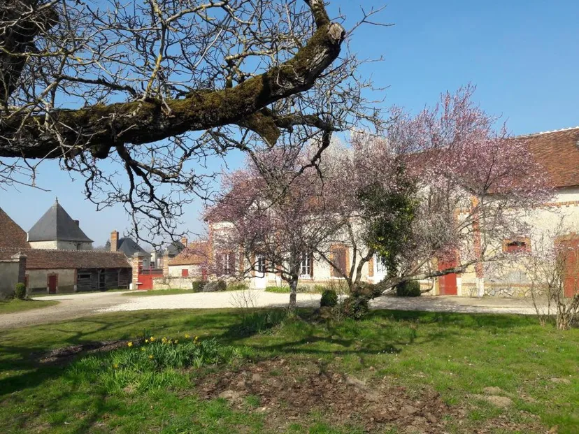 Maison familiale dans le Loiret – 10 personnes – au sein d’un domaine avec étang privé de 6 ha