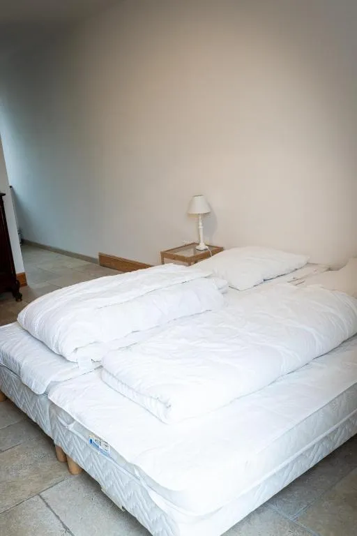 Maison familiale dans le Loiret – 10 personnes – au sein d’un domaine avec étang privé de 6 ha