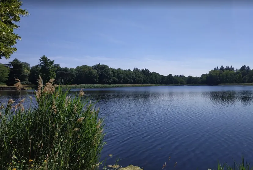 Suite dans un chateau pour 4 personnes – Vue sur lac privé de 6ha