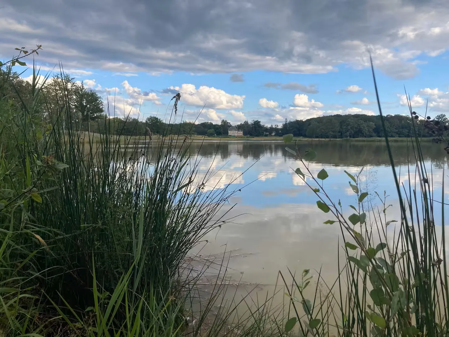 Rent pond for fishing of 12.36 ac