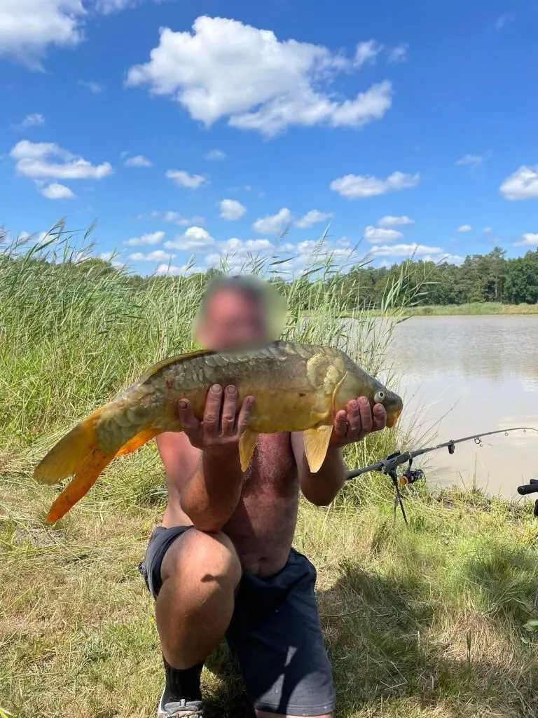 Rent pond for fishing of 12.36 ac