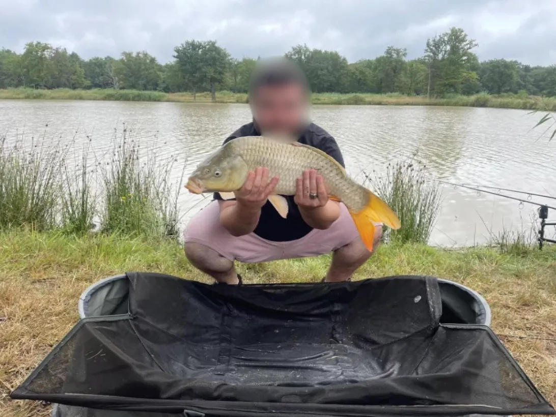 Rent pond for fishing of 12.36 ac