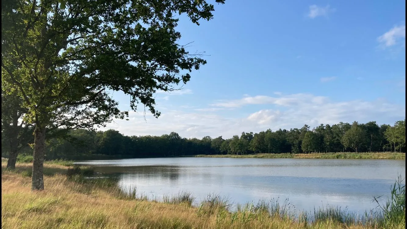 Rent pond for fishing of 12.36 ac