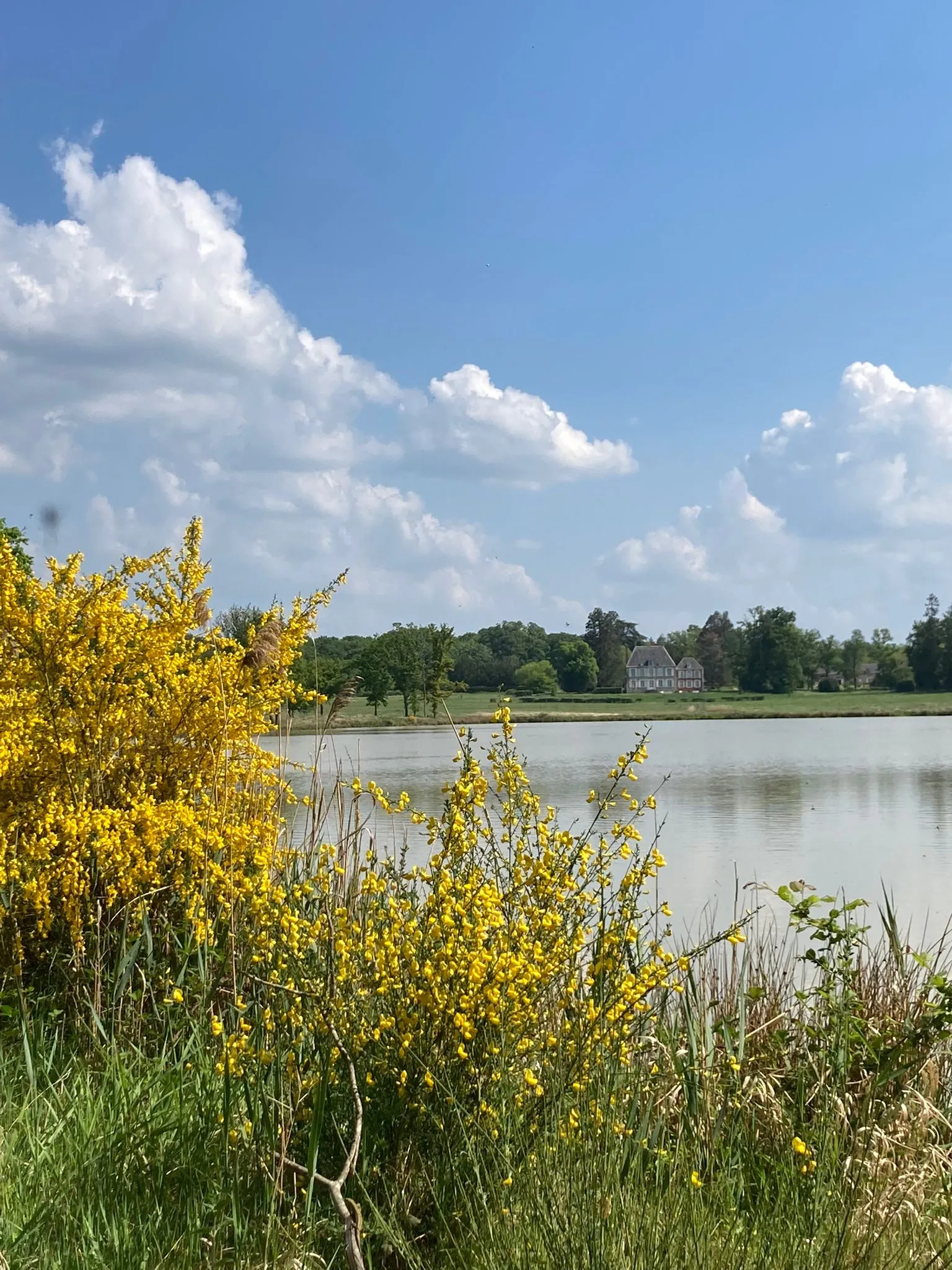 Maison solognote avec un bel Ă©tang au bord de la forĂȘt
