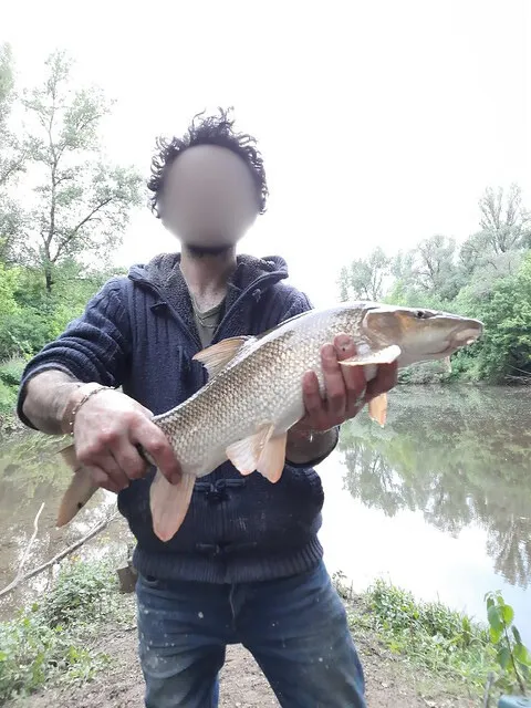 Gîte de pêche au bord de Lot - 5 personnes