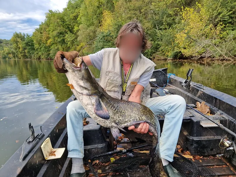 Gîte de pêche au bord de Lot - 5 personnes