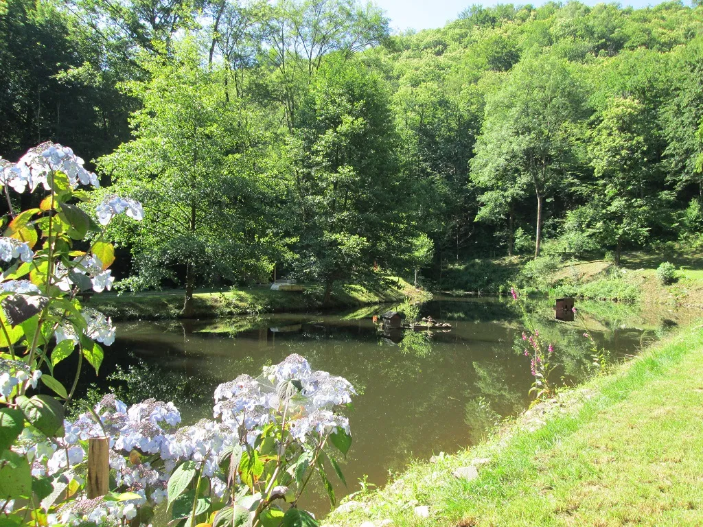 Gîte au bord d’un étang et rivière pour l’été