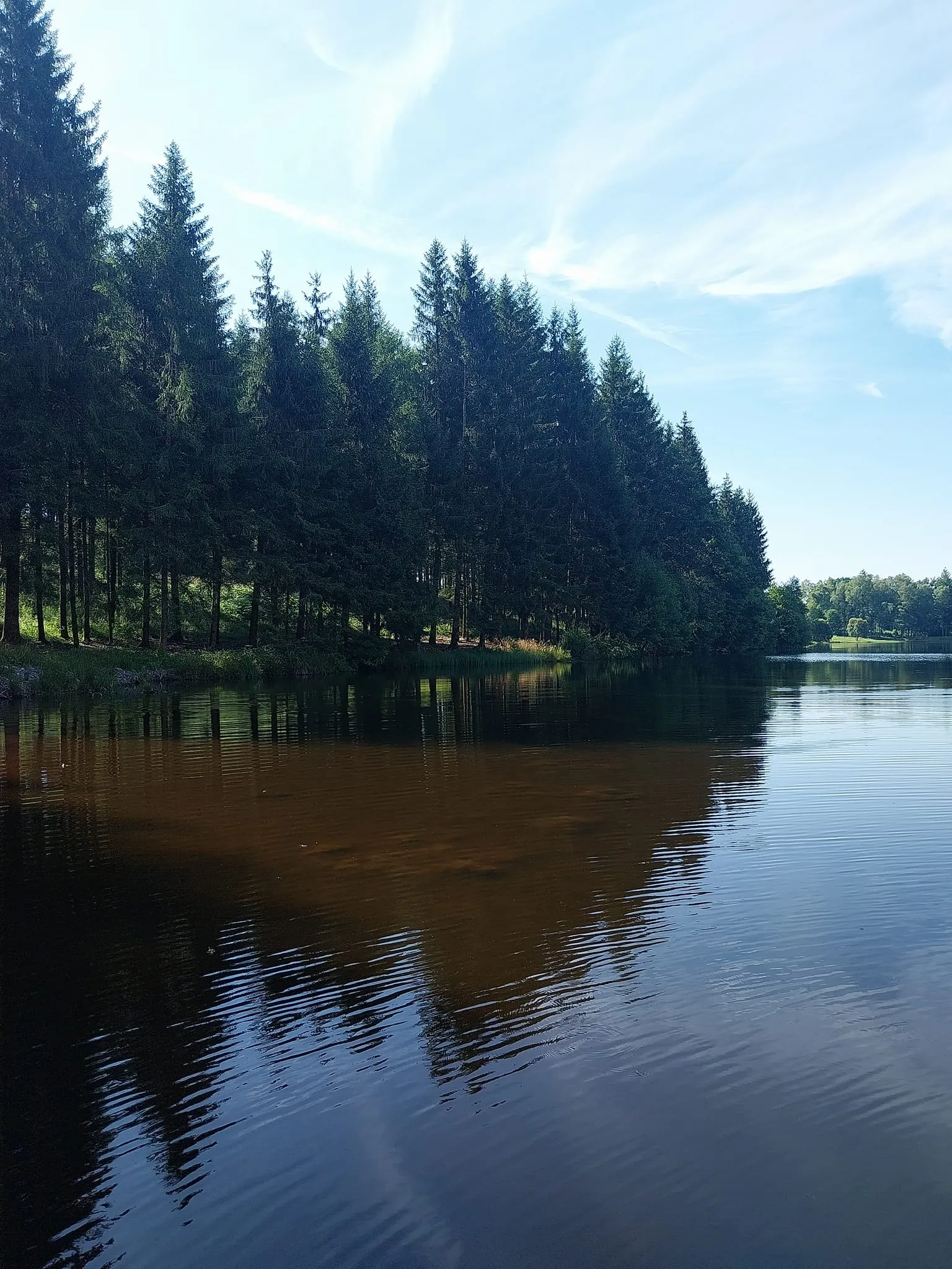Grand étang de 5ha en Correze pour la pêche