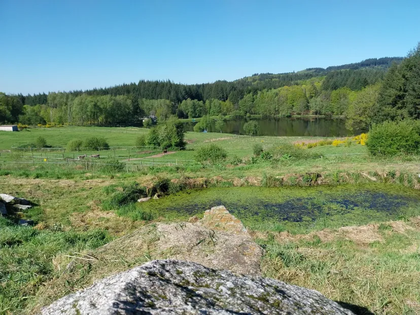Séjour pêche en duo avec un poste de pêche à 180° – Étang privé de 5 hectares en Corrèze