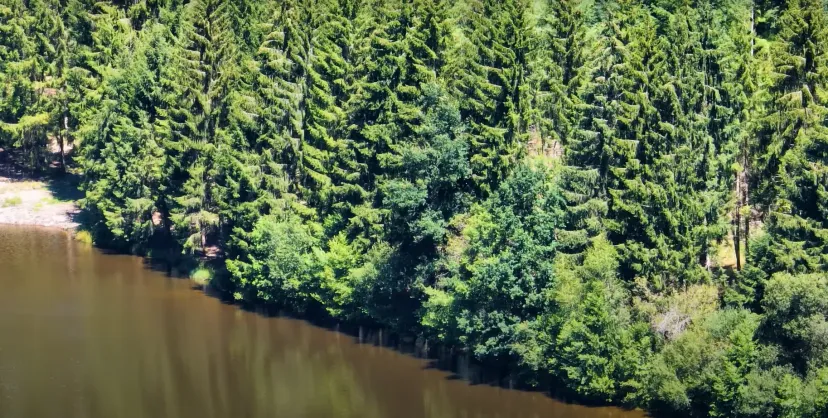 Séjour pêche en duo avec un poste de pêche à 180° – Étang privé de 5 hectares en Corrèze