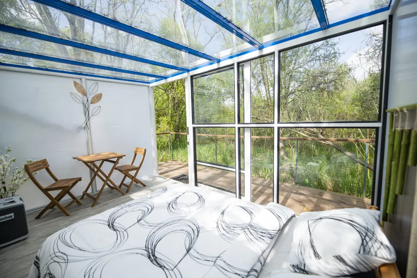 Cube transparent au cœur du sous-bois