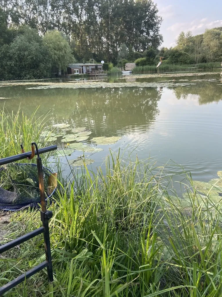 Cahute transparente au cœur de la nature avec étang