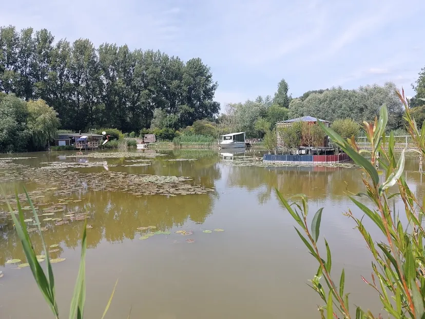 Cahute transparente au cœur de la nature avec étang