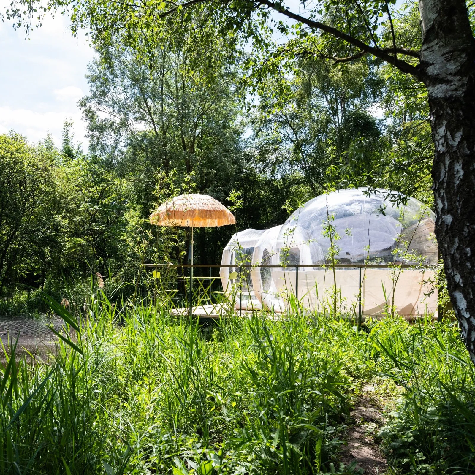 Bulle transparente pour une nuit magique sous les étoiles