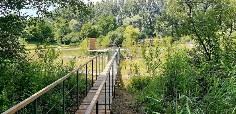 Cahute transparente au cœur de la nature avec étang