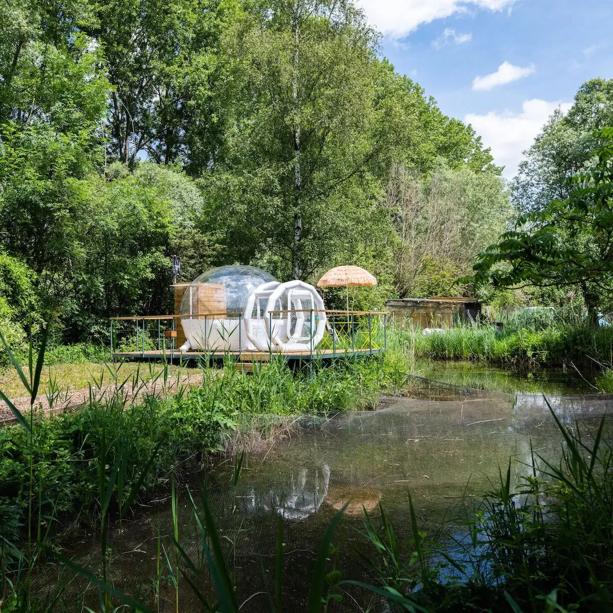 Bulle transparente pour une nuit magique sous les étoiles