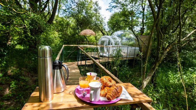 Bulle transparente pour une nuit magique sous les étoiles
