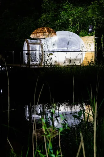 Bulle transparente pour une nuit magique sous les étoiles
