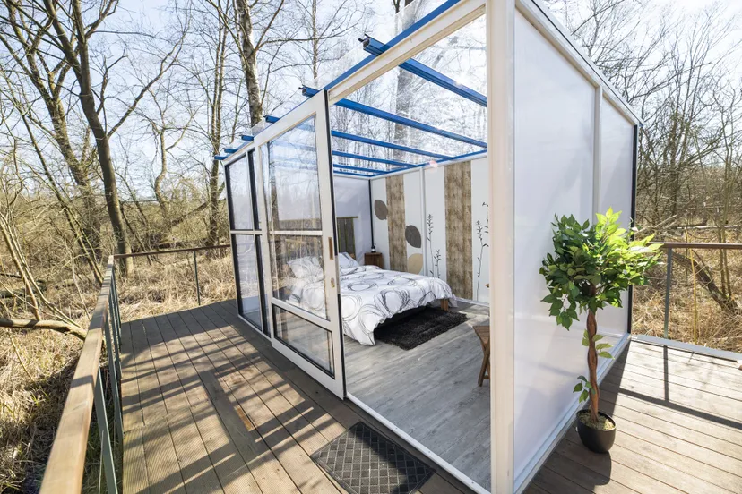 Cube transparent au cœur du sous-bois