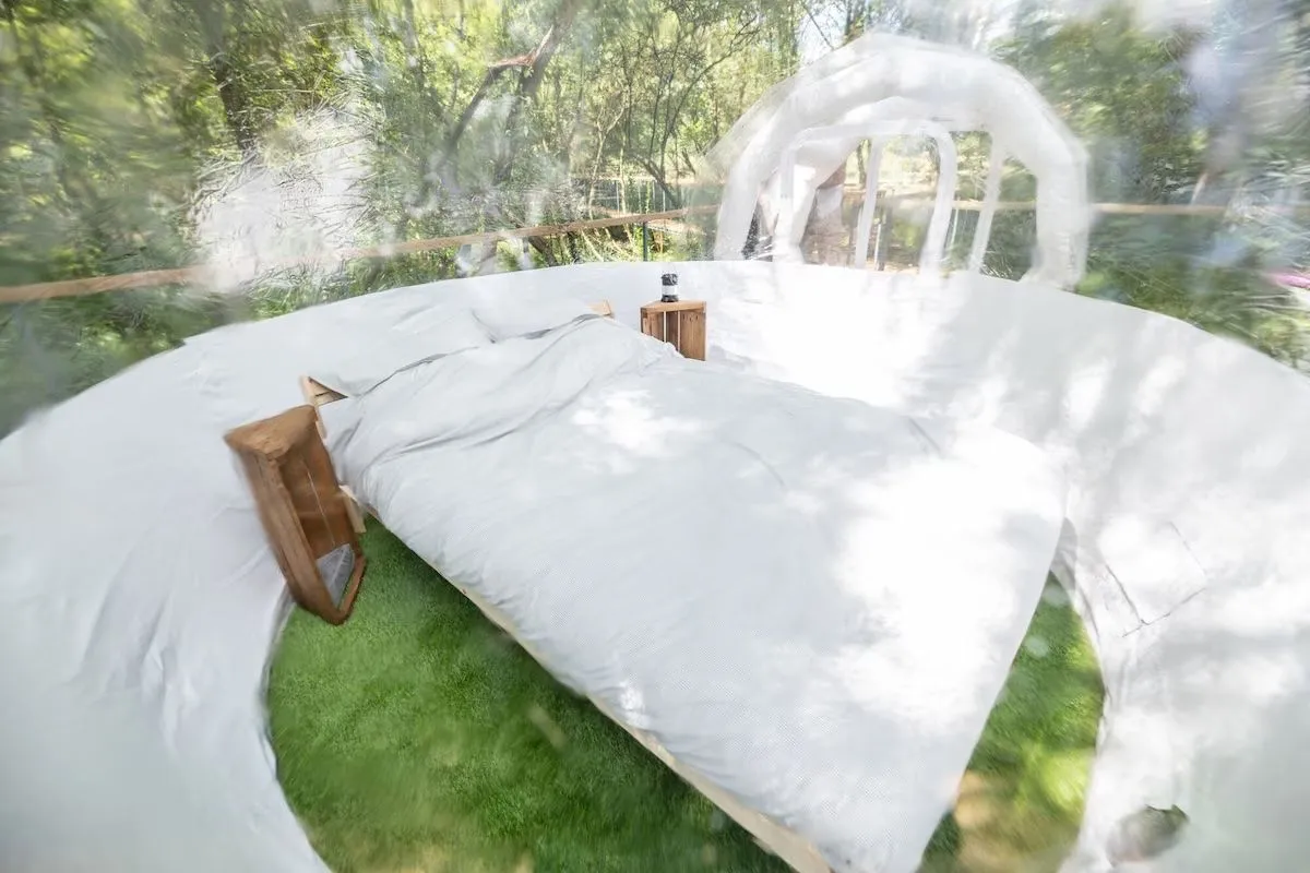 Bulle transparente pour une nuit magique sous les étoiles