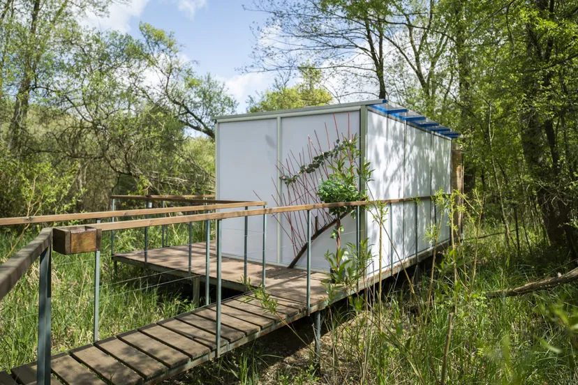 Cube transparent au cœur du sous-bois