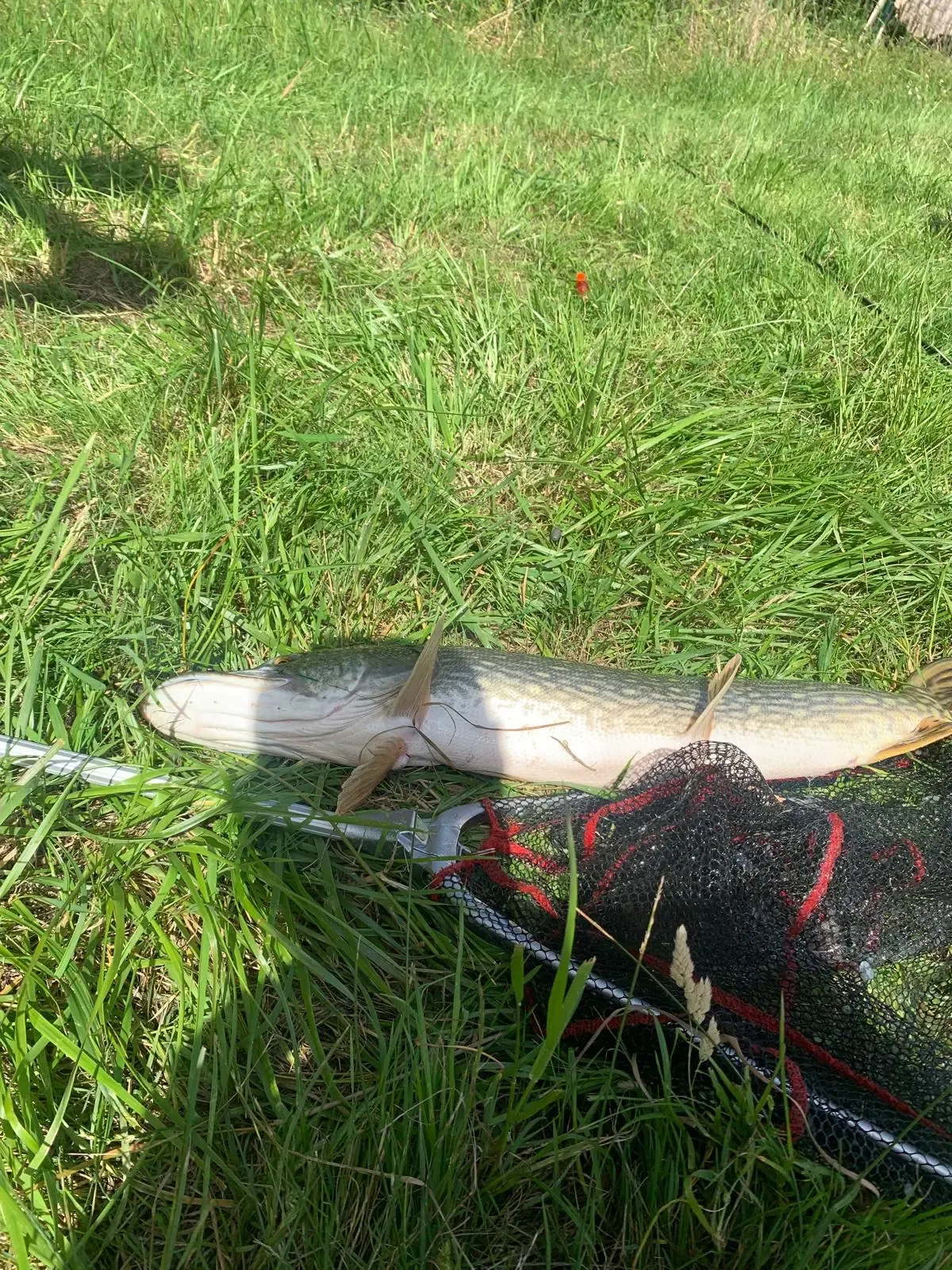 Étang de 4 ha situé en Sologne avec grande maison de chasse de 70 m2