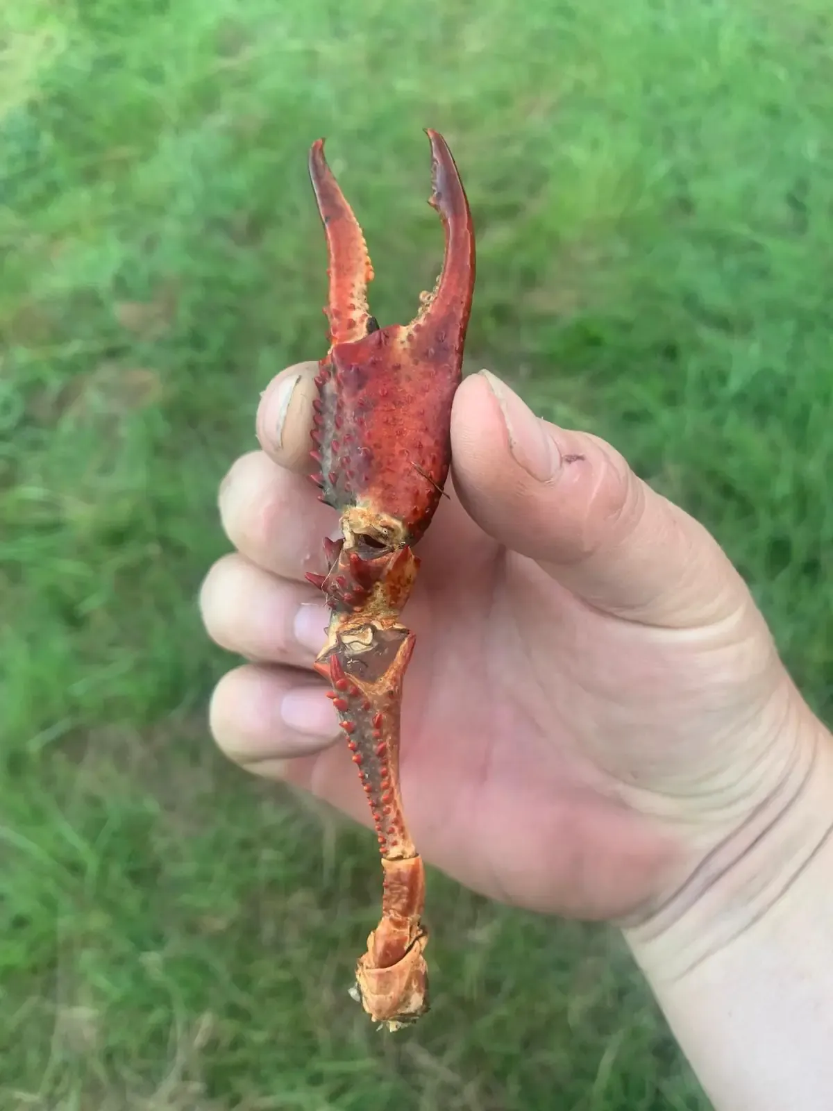 Étang de 4 ha situé en Sologne avec grande maison de chasse de 70 m2