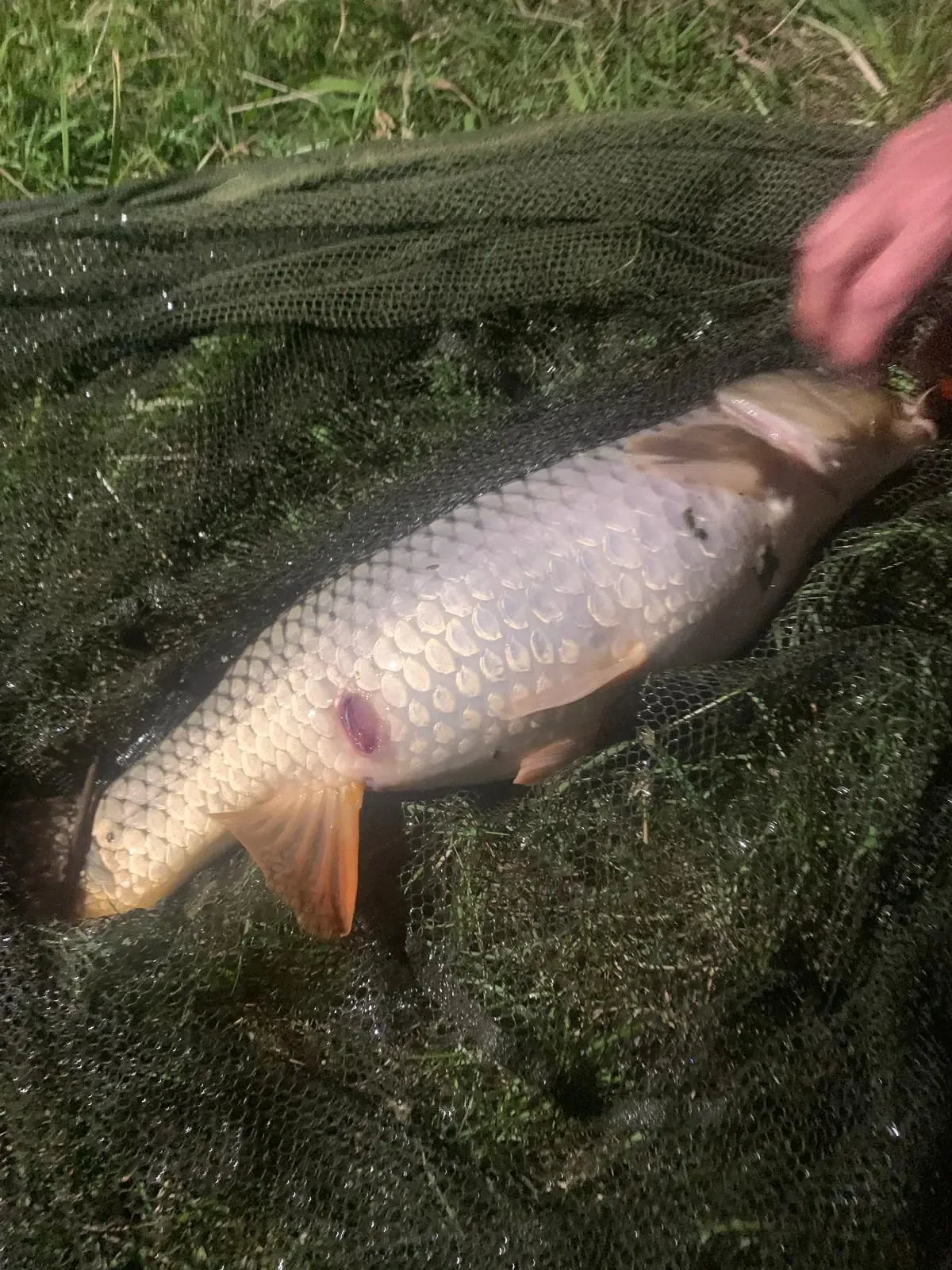 Étang de 4 ha situé en Sologne avec grande maison de chasse de 70 m2