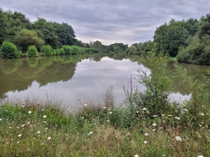 Gîte sur une propriété de 9 ha avec un étang sauvage