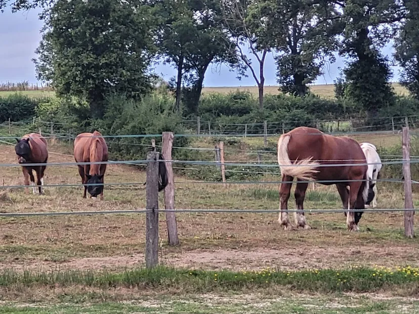 Gîte PMR en bord d'étang sur propriété