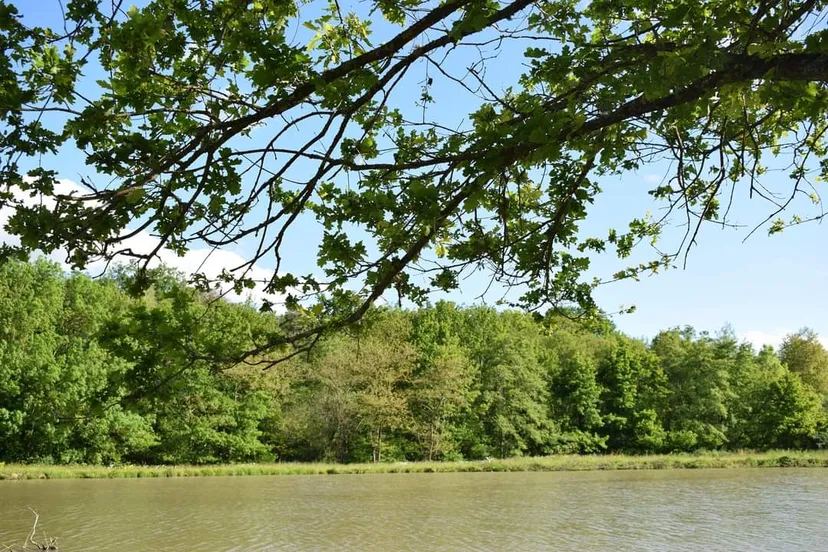 Gîte PMR en bord d'étang sur propriété
