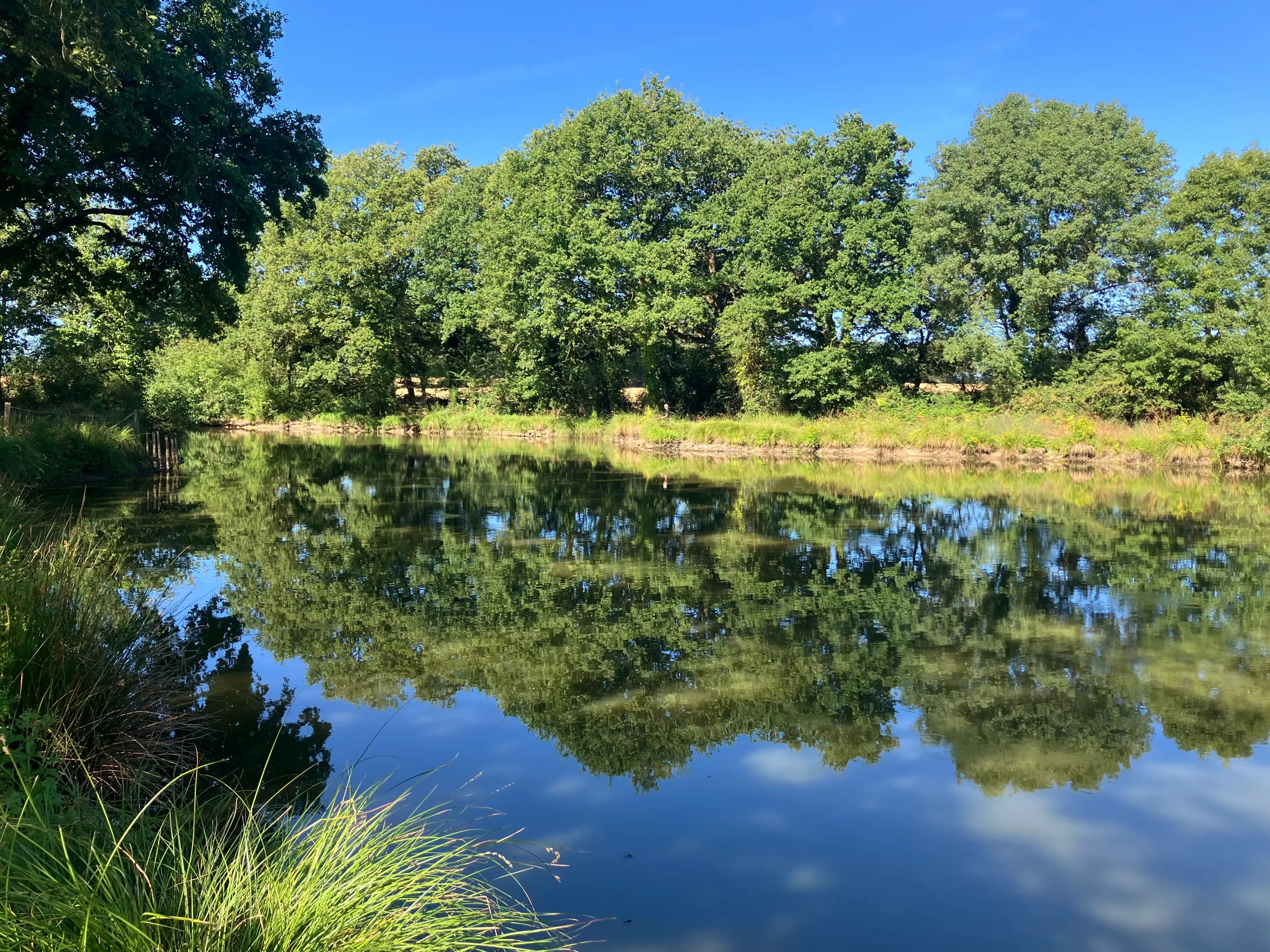 Private pond & waterfront accommodation with two ponds