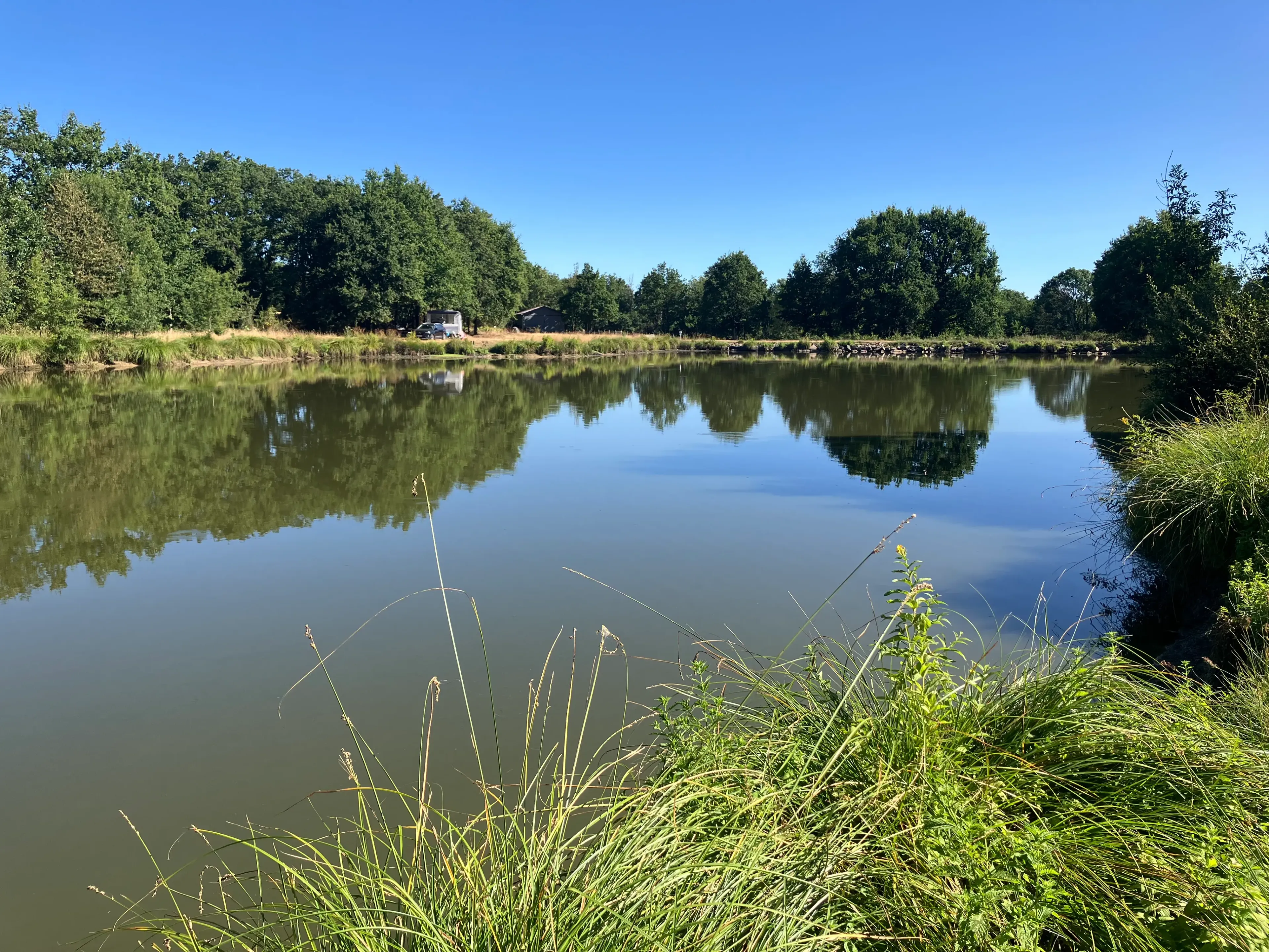 Private pond & waterfront accommodation with two ponds