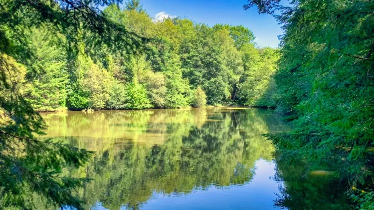 Étangs et logement en Dordogne au bord d’un château - 6 personnes